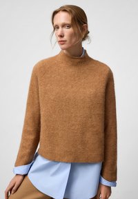 Un pull marron, duveteux avec un col montant et des manches longues, superposé à une chemise bleu clair. Texture douce et coupe décontractée.