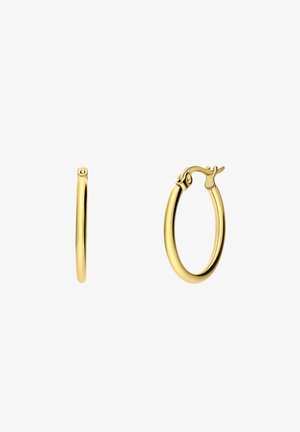 Gouden hoepeloorbellen met een gladde, gepolijste afwerking. Ze hebben een ronde vorm en een scharnierhaakje voor een veilige bevestiging. Afmetingen niet gespecificeerd.