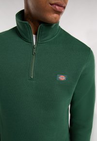 Groene fleece pullover met ritssluiting, voorzien van een hoge kraag, een zachte textuur en een klein, kleurrijk Dickies-logo op de borst.