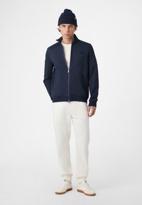 Fila APPAREL BRERA REGULAR PINSTRIPED TRACK  - Chaqueta de entrenamiento - black iris egret striped