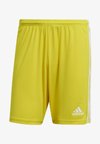 SQUADRA 21 SHORT - Korte broeken - yellow