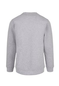 Grauer Sweatshirt, lange Ärmel, Rundhalsausschnitt, weicher Stoff, dezente Textur, gerippte Bündchen und Bund, minimalistisches Design, keine sichtbaren Logos.