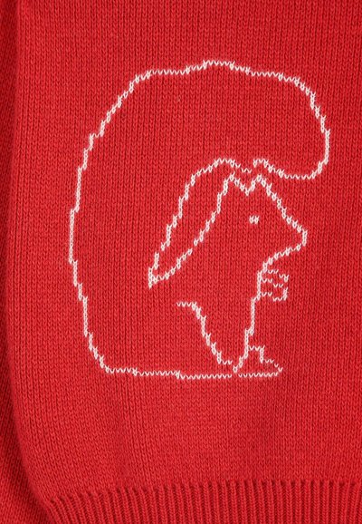 Contour blanc d’un écureuil tricoté sur un fond de tissu rouge. L’écureuil est représenté assis droit avec une queue touffue.