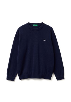 CREW NECK  - Strickpullover - blue