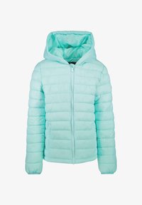 Niet geselecteerd, mint