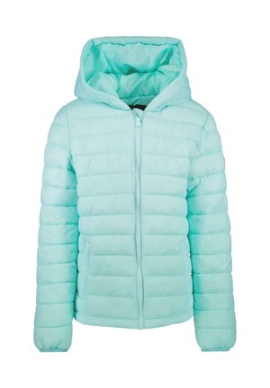 Cars Jeans JAS THELMA - Winterjas - mint