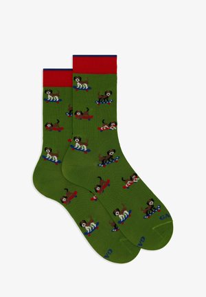 Gallo WITH DOG MOTIF - Calze - verde
