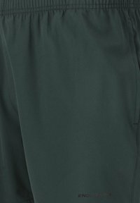 Mörkgröna atletiska shorts, lättviktig tyg, elastisk midjeband, sidofickor, med "ENDURANCE"-logotyp tryckt i svart. Slät textur.