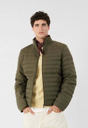 MATAI - Chaqueta de plumas - vert