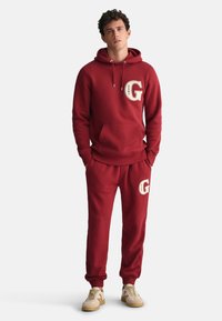 GANT GRAPHIC  - Sudadera - carbernet red
