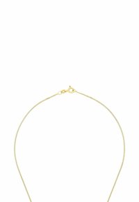 Guldtonad kedjehalsband med en delikat, fin design och en kräftklämma, med en slät, stilren yta.