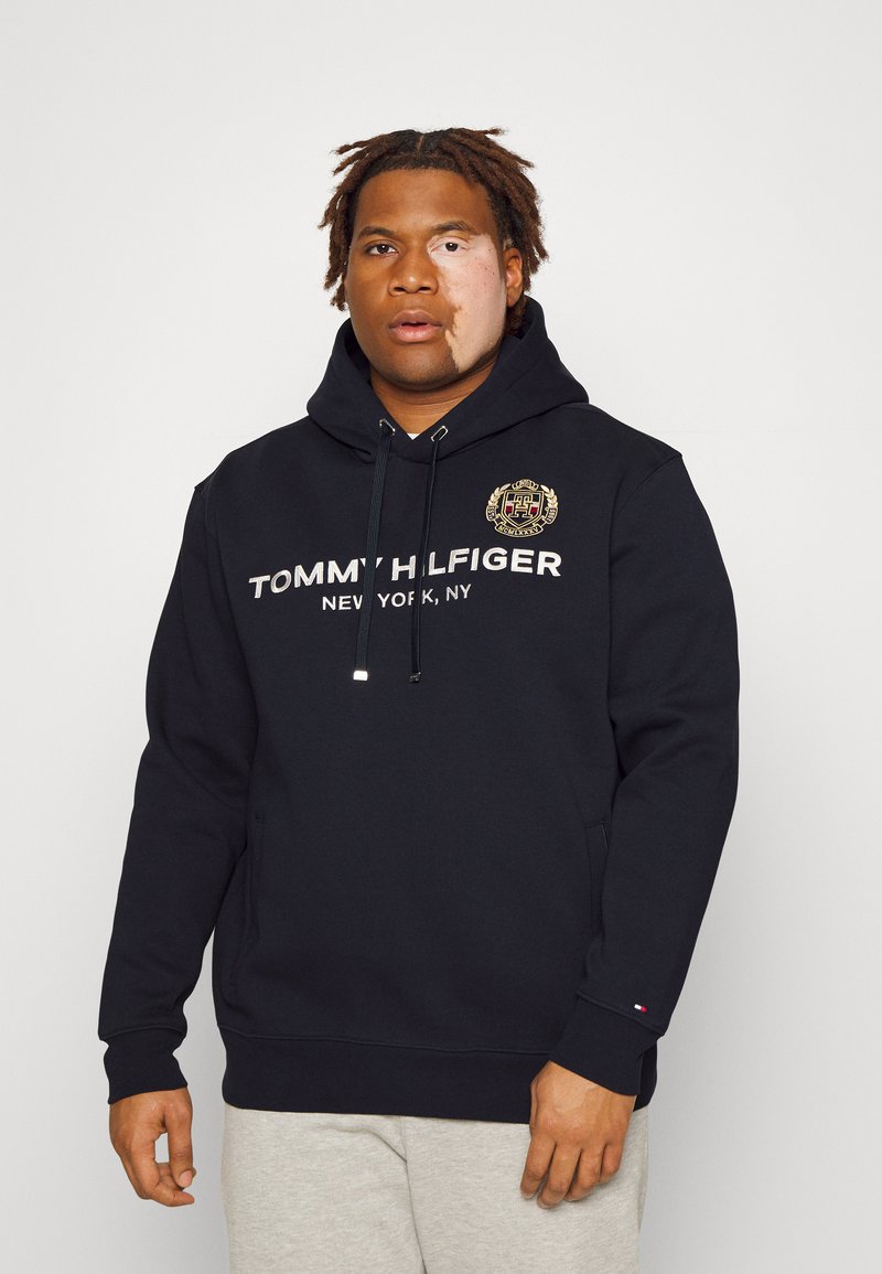 Tommy Hilfiger ICON STACK CREST HOODY - Sweatshirt - desert sky/dark ...