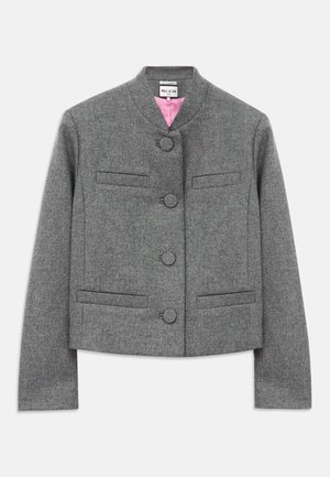 Gray cropped wool blazer with four fabric-covered buttons, straight long sleeves, and welt pockets, pink inner lining visible at collar.