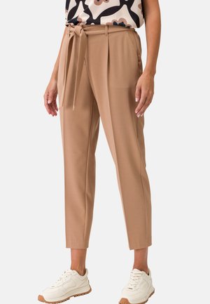 Chino - golden camel