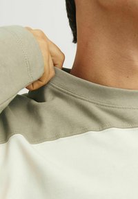 Jack & Jones JORBUSHWICK BLOCK CREW NECK - Sudadera - silver sage