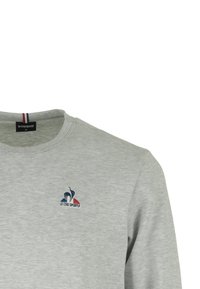 Felpa grigia in misto cotone, con scollatura a girocollo, maniche lunghe e un piccolo logo blu e rosso sul petto.