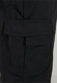 Dickies WORKWEAR EVERYDAY  - Tuinbroek - black