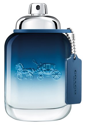 BLUE EAU DE TOILETTE - Woda toaletowa