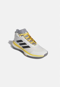 adidas Performance BOUNCE LEGENDS - Basketbalschoenen - cloud white/core black/off white