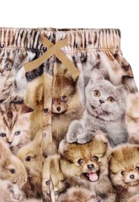 Pantaloni shorts in felpa con una stampa giocosa che presenta vari gattini e cuccioli in tonalità di marrone, grigio e crema; vita elastica con un cordoncino color tan.
