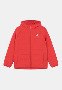Veste matelassée à capuche rouge Adidas avec fermeture éclair frontale et poches latérales, logo Adidas sur la poitrine gauche, présentée sur un fond blanc.