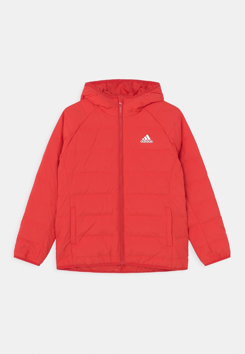 Veste matelassée à capuche rouge Adidas avec fermeture éclair frontale et poches latérales, logo Adidas sur la poitrine gauche, présentée sur un fond blanc.