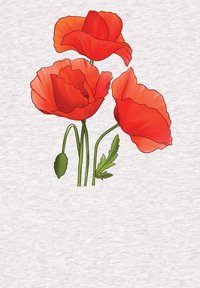 Rote Mohnblumen mit geschichteten Blütenblättern und einem grünen Stiel, vor einem hellgrauen Hintergrund. Zwei Blüten und eine Knospe sichtbar.