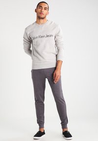 Calvin Klein Jeans HARVEL - Sweatshirt - grey