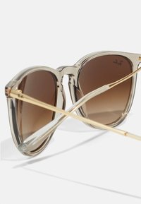 Transparent frame sunglasses with brown gradient lenses and gold-tone metal arms. Features a rounded design and clear temple tips.