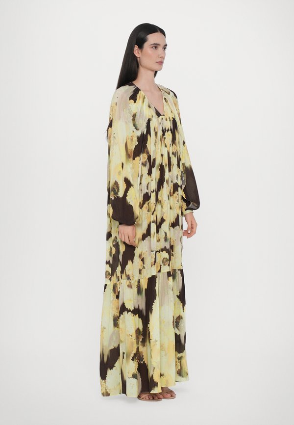 IRIS BLURRY SILK - Maxi dress3