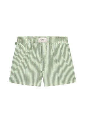 STRIPED - Badeshorts - green