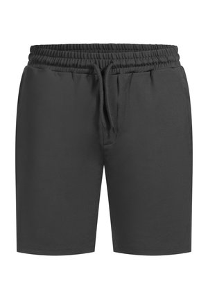 Smilodox PERFORMANCE RUNNING SHORTS ZEYN - Shorts - anthrazit