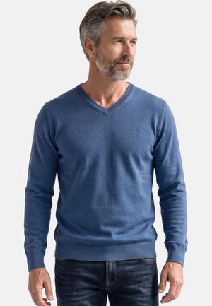 Uomo di mezza età con capelli grigi e barba che indossa un maglione blu a collo a V e jeans scuri, che guarda di lato su sfondo bianco.