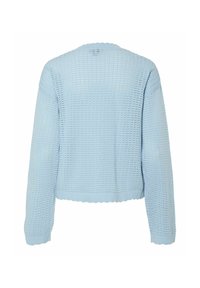 Hellblauer gestrickter Cardigan mit strukturiertem Muster, langen Ärmeln und gewelltem Saum. Offene Rückseite mit lässiger Passform.