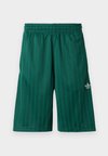 SHORT - Calções - collegiate green