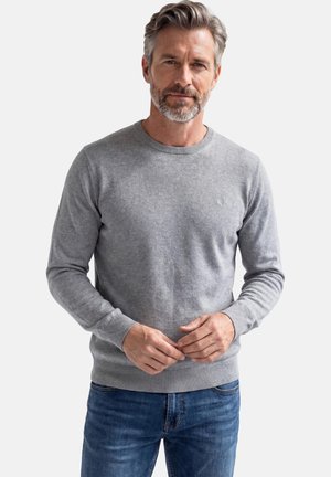 Mand med gråt hår og skæg iført en lys grå crewneck-trøje og blå jeans, stående foran en ensfarvet hvid baggrund.
