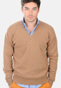 Beige V-Ausschnitt-Pullover mit langen Ärmeln, gestrickter Textur und geripptem Saum, über einem hellblauen Kragenhemd getragen.
