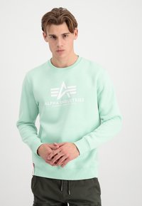 Felpa verde menta chiaro con collo a giro, texture morbida, caratterizzata da un logo e testo bianchi, polsini a coste e un piccolo etichetta rossa all'orlo.