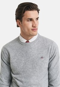 Maglione grigio realizzato in morbido tessuto, con colletto arrotondato e polsini a coste. Dettaglio dell'emblema sul petto. Indossato sopra una camicia bianca e una cravatta.