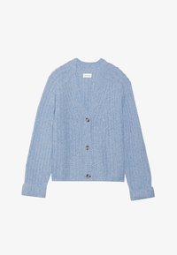 Pasirinkta, light blue