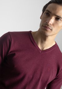 Suéter burdeos de cuello en V hecho de un material de punto suave, que presenta un sutil acento de logo en el pecho y una textura suave.