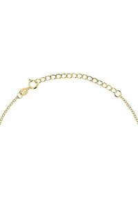 Collana in metallo dorato con maglie tonde e chiusura a gancio. La catena presenta una texture liscia e brillante.
