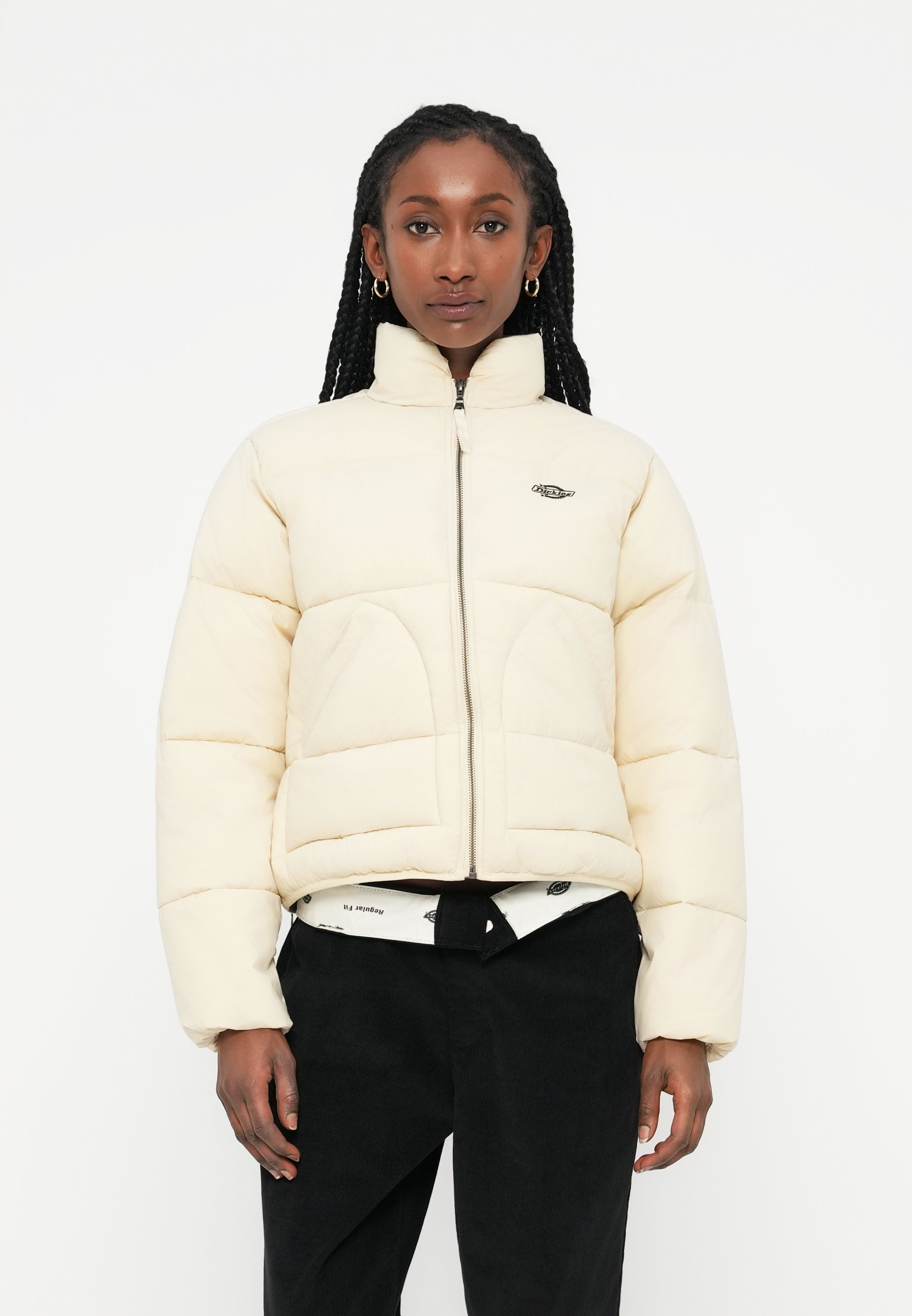 Dickies SUMMERDALE - Winter jacket - wood ash/beige - Zalando.co.uk