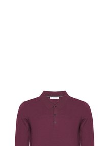 Polo bordeaux a maniche lunghe con collo classico, abbottonatura a tre bottoni e una morbida texture a maglia. Design minimalista, senza motivi.