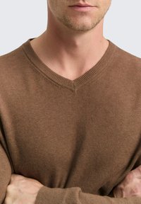 Brauner V-Ausschnitt-Pullover aus weichem Stoff, mit geripptem Kragen und nahtlosen Schultern, in taillierter Passform.
