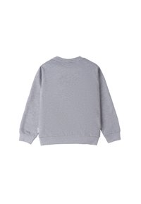 Felpa grigia con maniche lunghe, collo tondo e polsini e orlo a coste. Texture liscia con un design minimalista. Senza motivi né accenti.