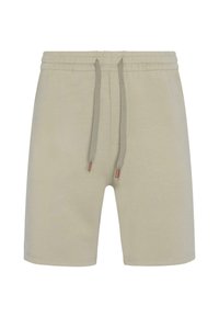 Shorts beige clair avec une taille élastique, fermeture à cordon de serrage et deux poches latérales. Tissu en mélange de coton, texture lisse, design décontracté.