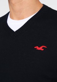 Man i svart V-halsad tröja över en vit rundhalsad skjorta, med en liten röd fågel-logotyp på vänster bröst.