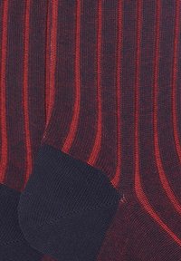 Calzini a righe in un blu navy scuro e rosso, caratterizzati da una texture a coste e una punta rinforzata. Il motivo è composto da righe verticali alternate.