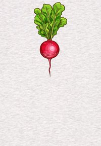 watapparel RADIESCHEN - T-shirt imprimé - cool heather grey